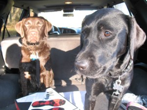 It's awfully nice to be loved by these two.