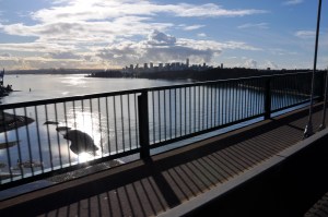 The View from the Lion's Gate bridge. Stanley Park is on the right.