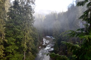 Much of the area surrounding Vancouver is classified as "rain forest"